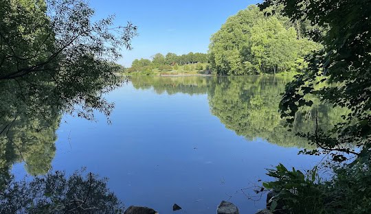 A calm lake surrounded by lush green trees, with their reflections clearly visible on the water under a bright blue sky. Rocks and leafy branches frame the foreground.